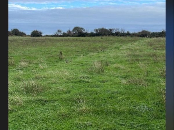 Grass for silage (Meadowing) - Main image