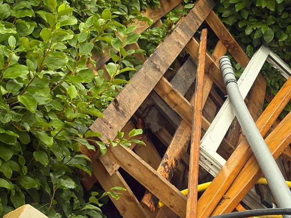 Free wood - Main image