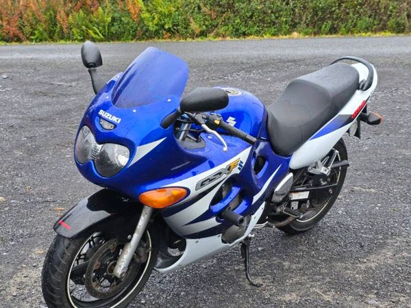GSXF 600 - Main image