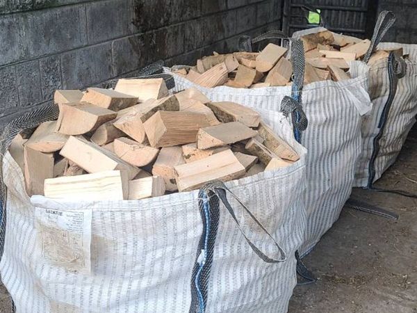 Firewood timber - Main image