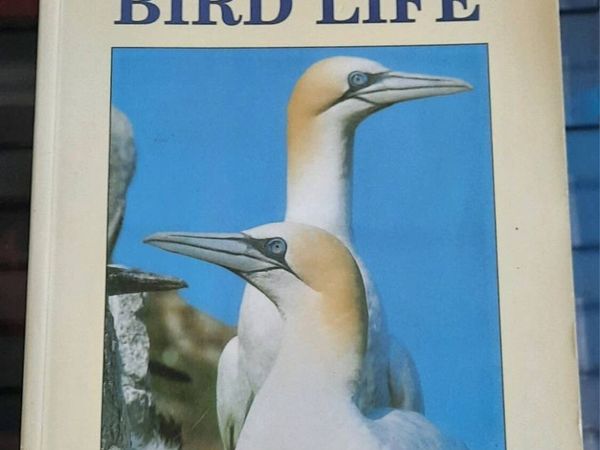 Ireland's Birdlife , A World of Beauty - Main image