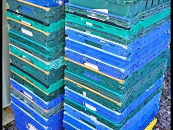 250 plastic storage crates - Main image