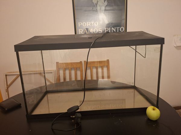 Fish tank - Main image