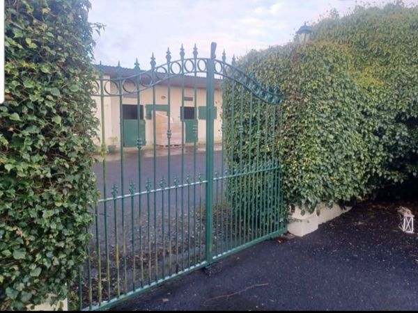 Electric Gates and motors - Main image