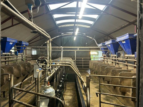 Dairy master parlour and feeders - Main image