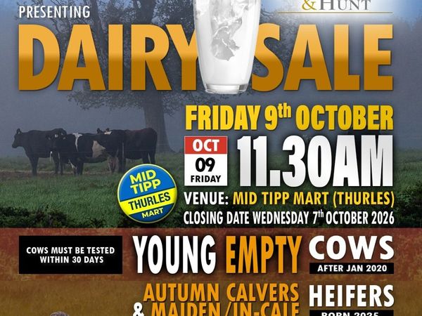 DAIRY SALE: MID TIPPERARY MART, THURLES - Main image