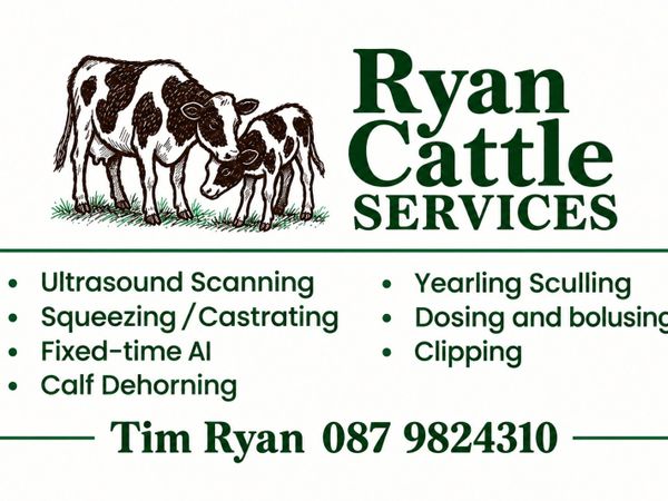 Cattle Services : scanning and all cattle work - Main image