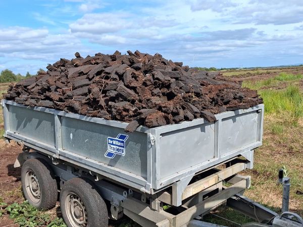 8x5 - Ifor Williams Tipper Trailer - Main image