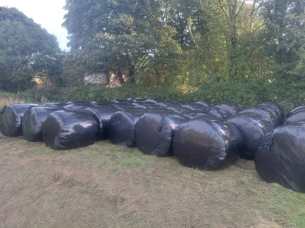 Round bales - Main image