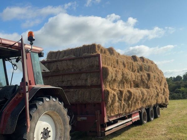 Hay and silage - Main image