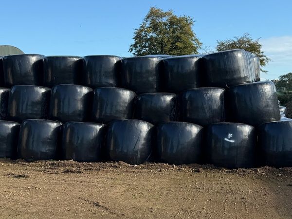 Round bale silage and haylage,Square bales haylage - Main image
