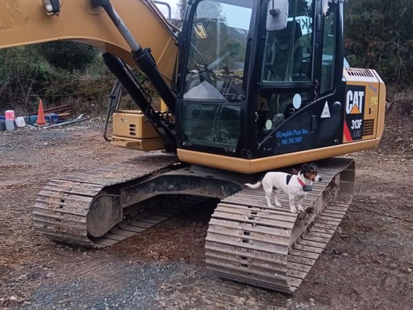 Cat 313flgc - Main image