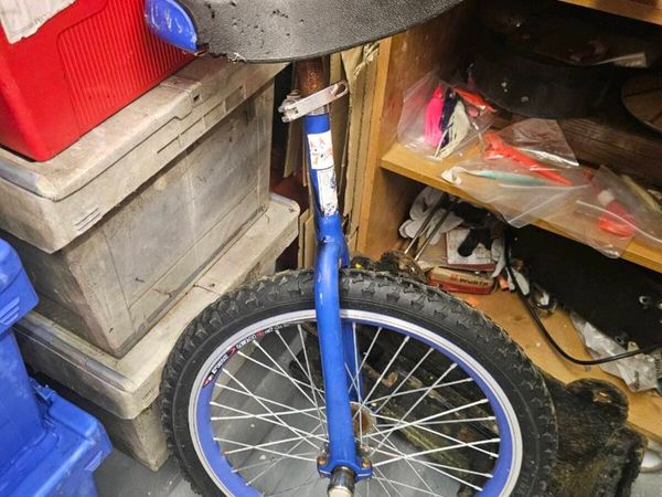 Unicycle - Main image