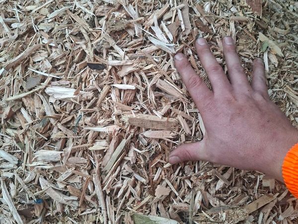 Woodchip - Main image