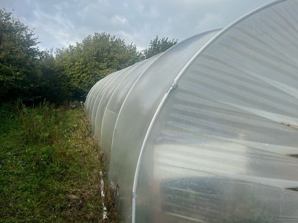 Poly Tunnel 30ft - Main image