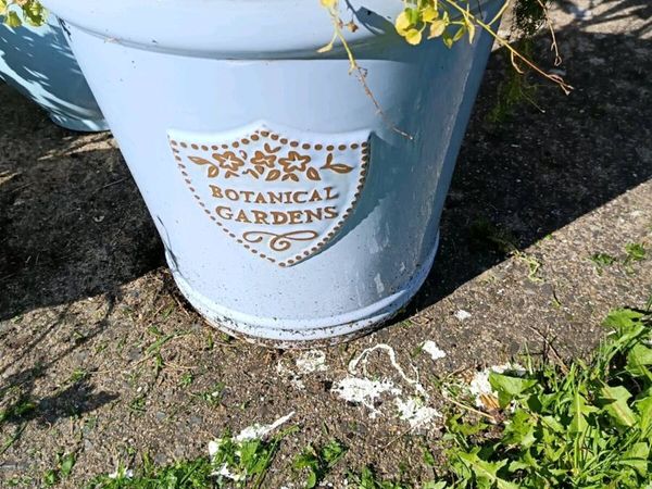 Plant pot - Main image