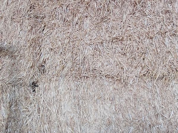 Straw - Main image