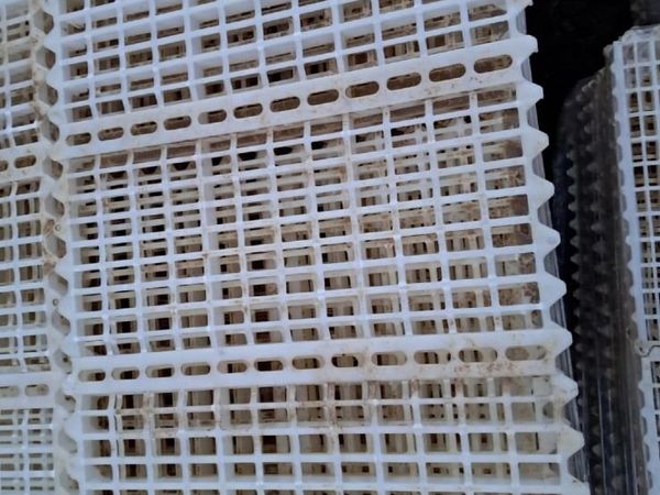 Hen House Slats - Main image