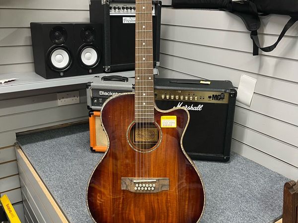 Freshman AG210561 12 String Semi Acoustic Guitar - Main image