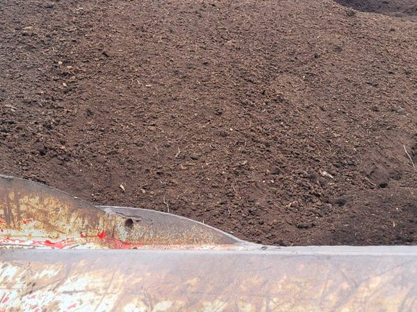 Peat - Main image