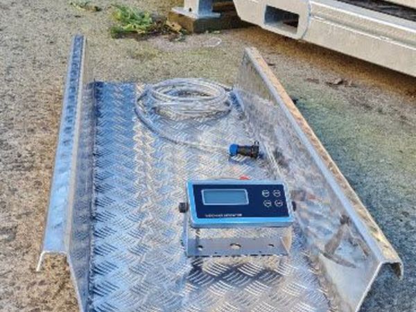 Scales for calves, sheep - Main image