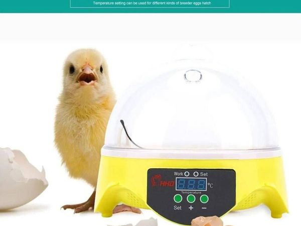 Egg Incubator Mini 7 Egg Hatching Machine - Main image
