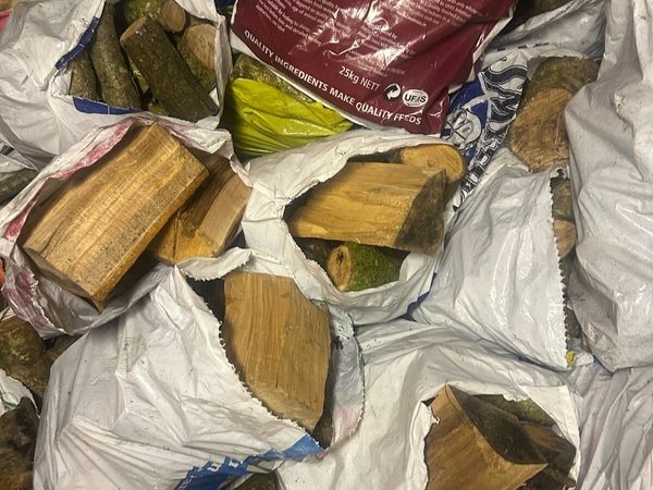 Firewood - Main image