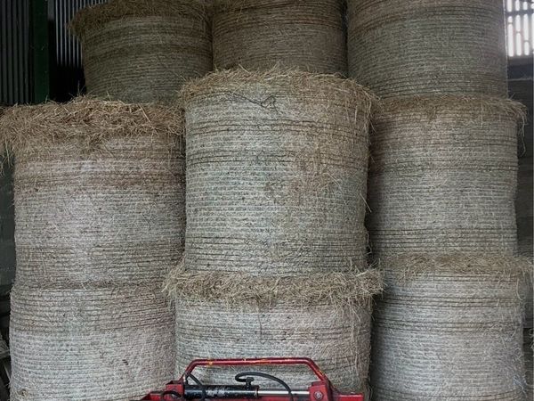 Meadow Hay for sale. - Main image