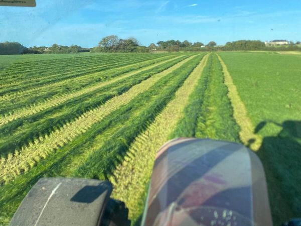 Baled silage and haylage - Main image