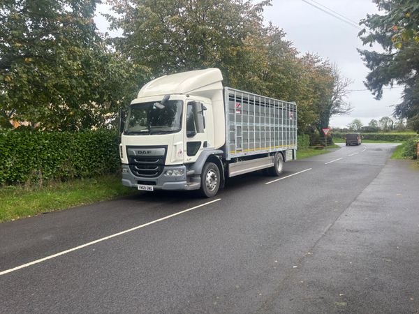 Daf lf cattle lorry - Main image