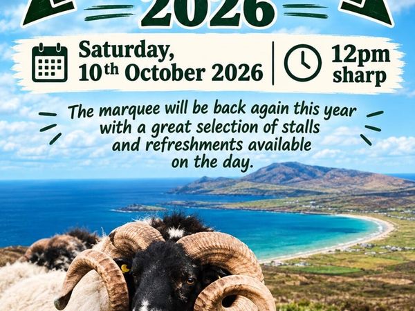 Keel Sheep Show 2026 - Main image