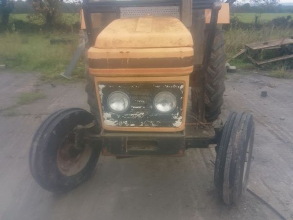 MARSHALL Other 1982 - Main image