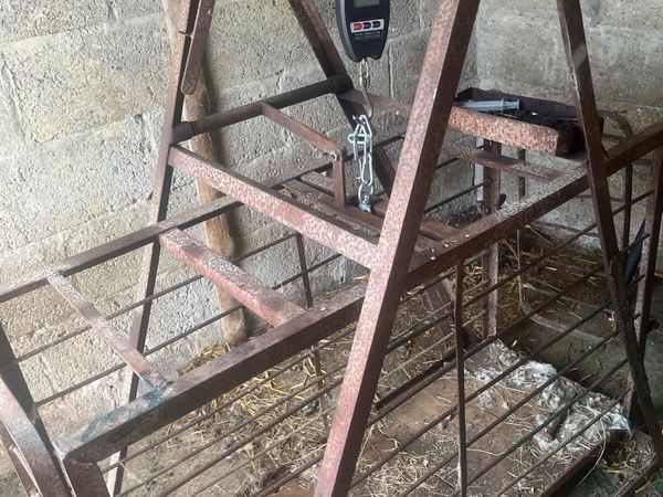 Sheep weighing bridge - Main image