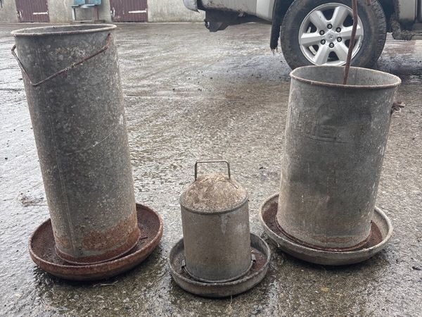 Turkey chicken hen meal feeders and drinker - Main image