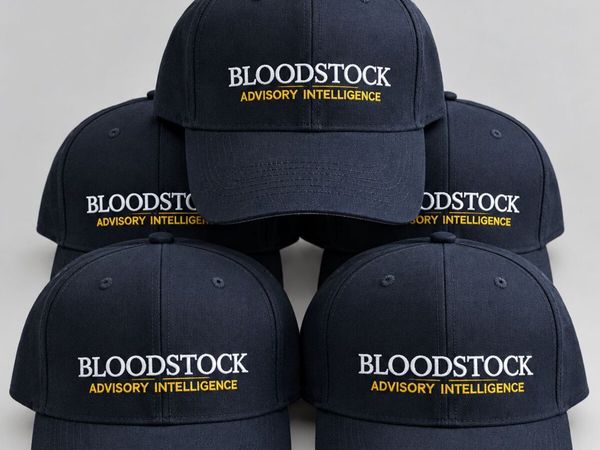 Logo Embroidery - Main image