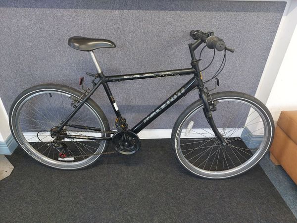 Raleigh Max - Main image