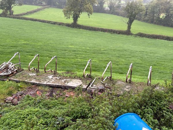 Freestanding cow cubicles - Main image