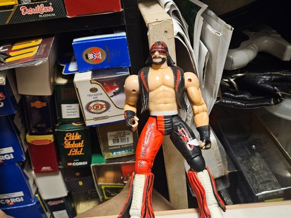 Wrestler - Main image