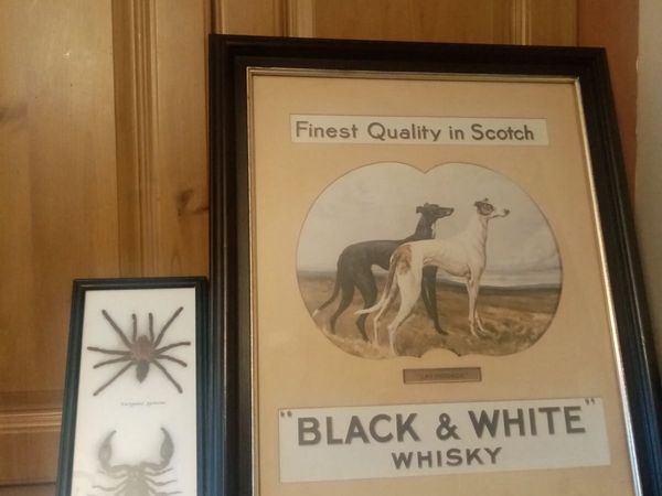 House  Clearance - Main image