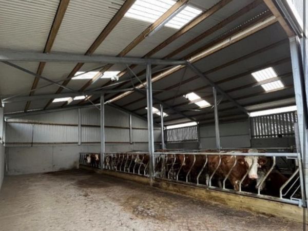 Looking Slatted shed to rent - Main image