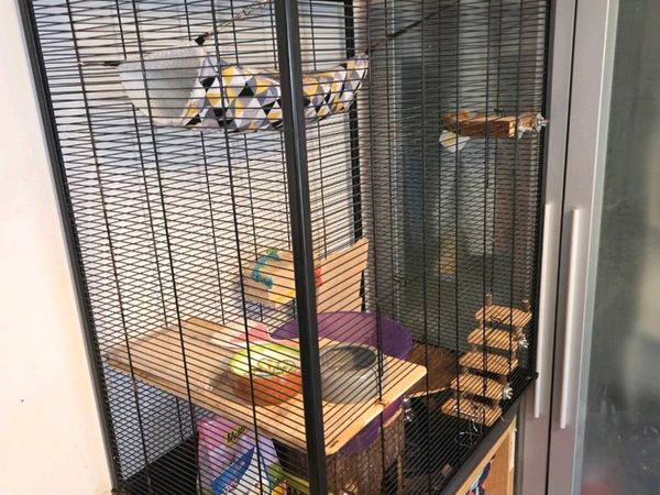 Small Animal Cage & Accessories - Main image