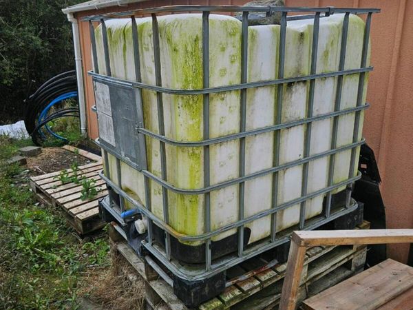 IBC - Main image