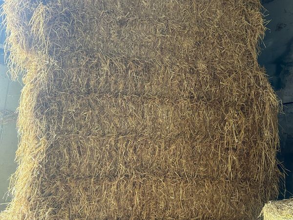 Straw and hay - Main image