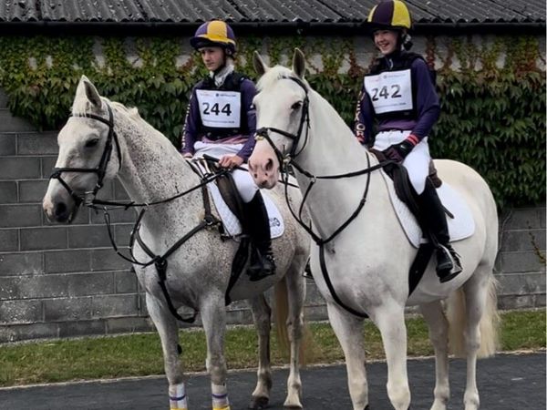 THE ULITMATE JUNIOR/SENIOR PONY CLUB DREAM - Main image