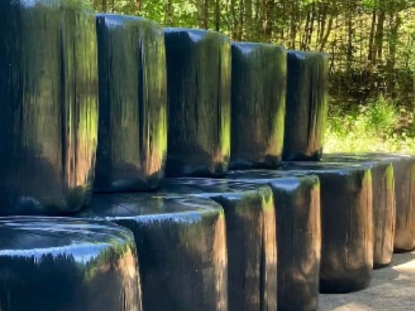 Silage & Haylage - Main image