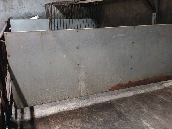 Calf penning - Main image