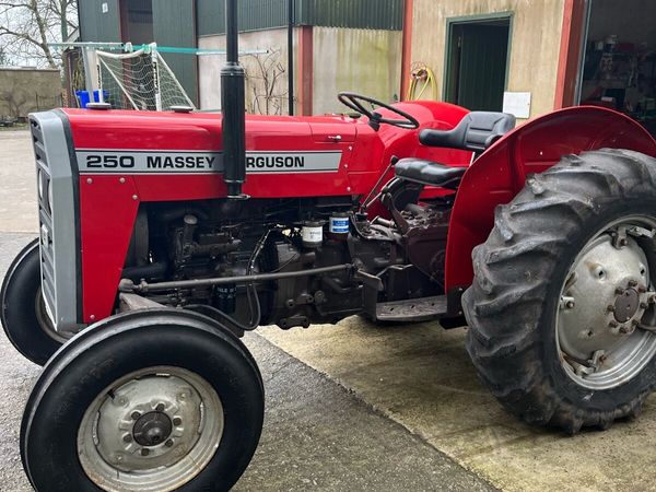 Massey Ferguson 250 *NO VAT* - Main image
