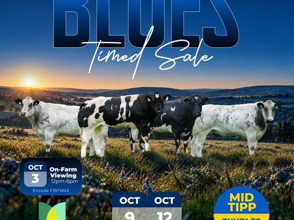 Pedigree and Commercial Embryo Sale - Main image