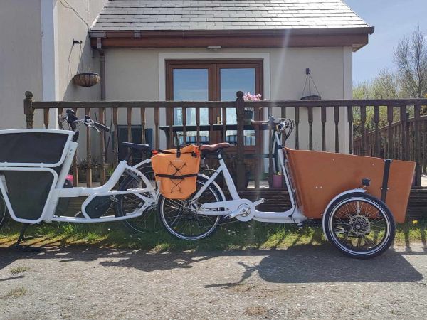 CARGO EBIKE POWER FULL - Main image