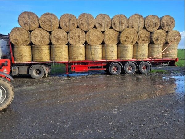 4x4 round bales barley straw - Main image